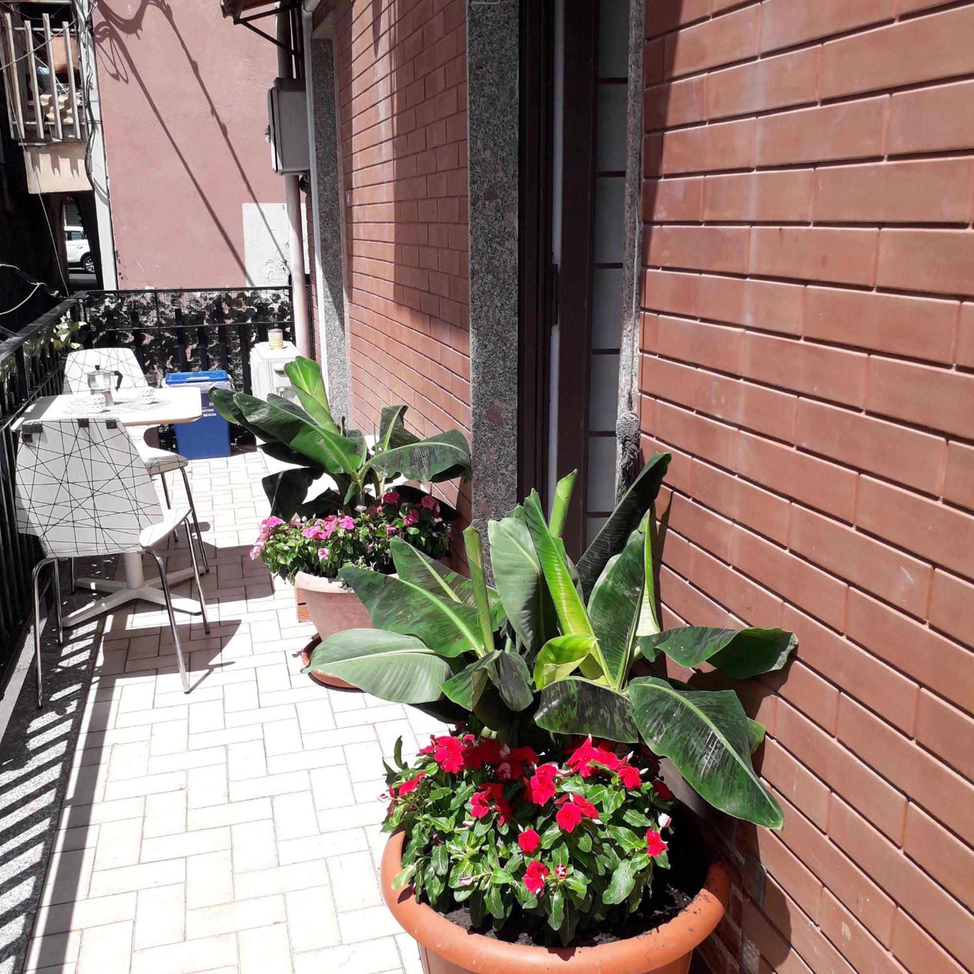 Le Case Del Cortile Катания Екстериор снимка