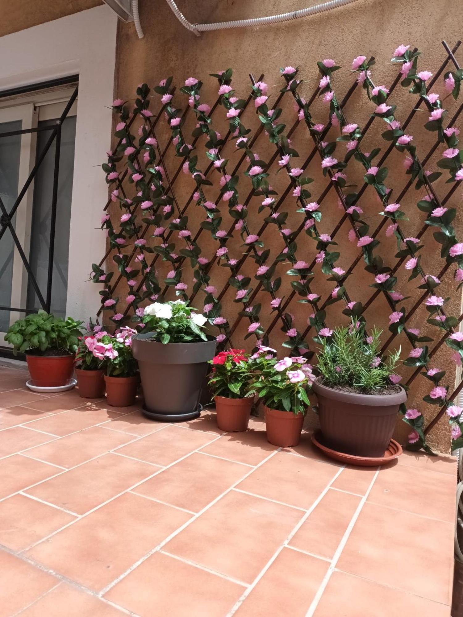 Le Case Del Cortile Катания Екстериор снимка